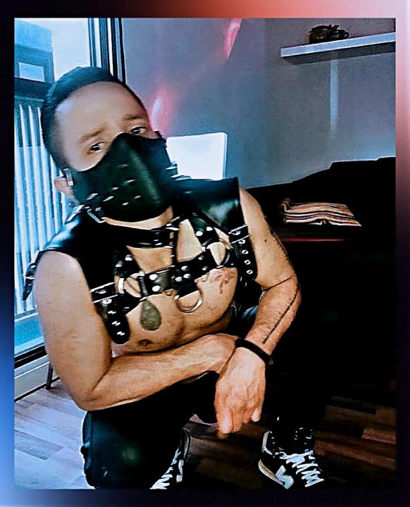 CERDO CAÑERO 100% ACTIVO