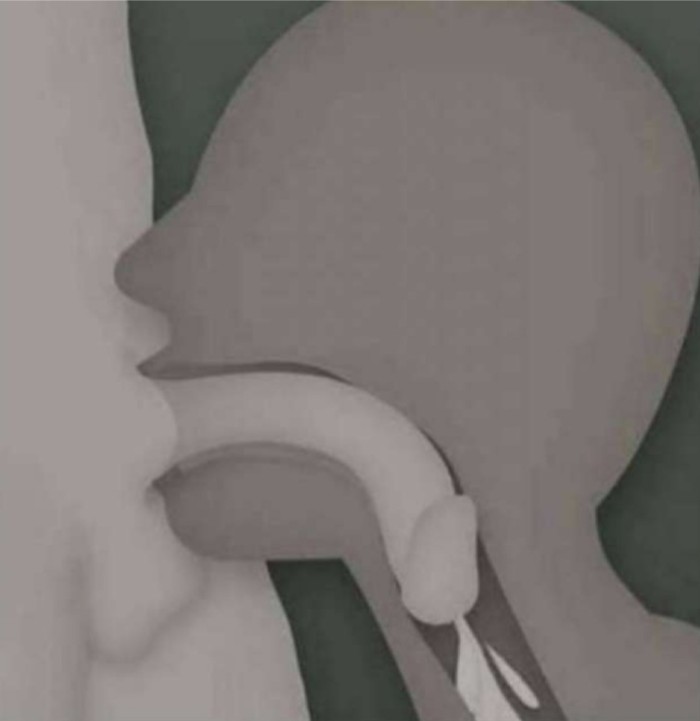 NOVEDAD FIESTERA CON FOLLOTEO 20€ SIN LIMITS TG V