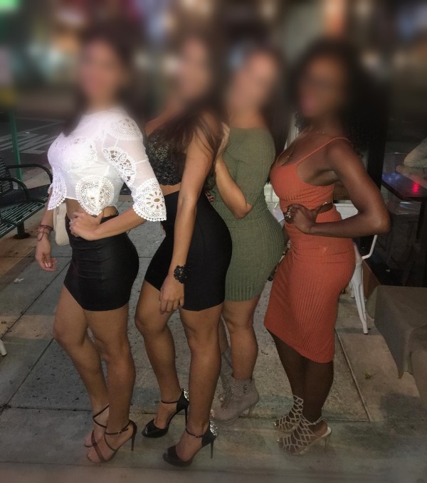 LAS MAS PERRAS Y VICIOSAS FIESTERAS SALIDAS 24H