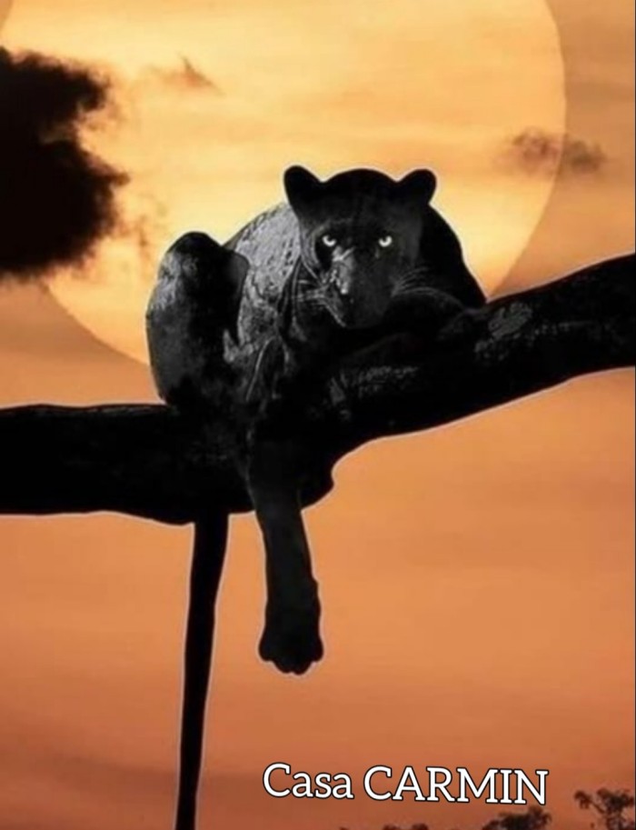 cARMIN relax, masajes,, acompañanates, y mucho mas