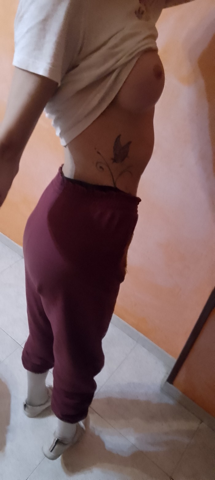 Novedad Activa Pasiva Lechera y Más