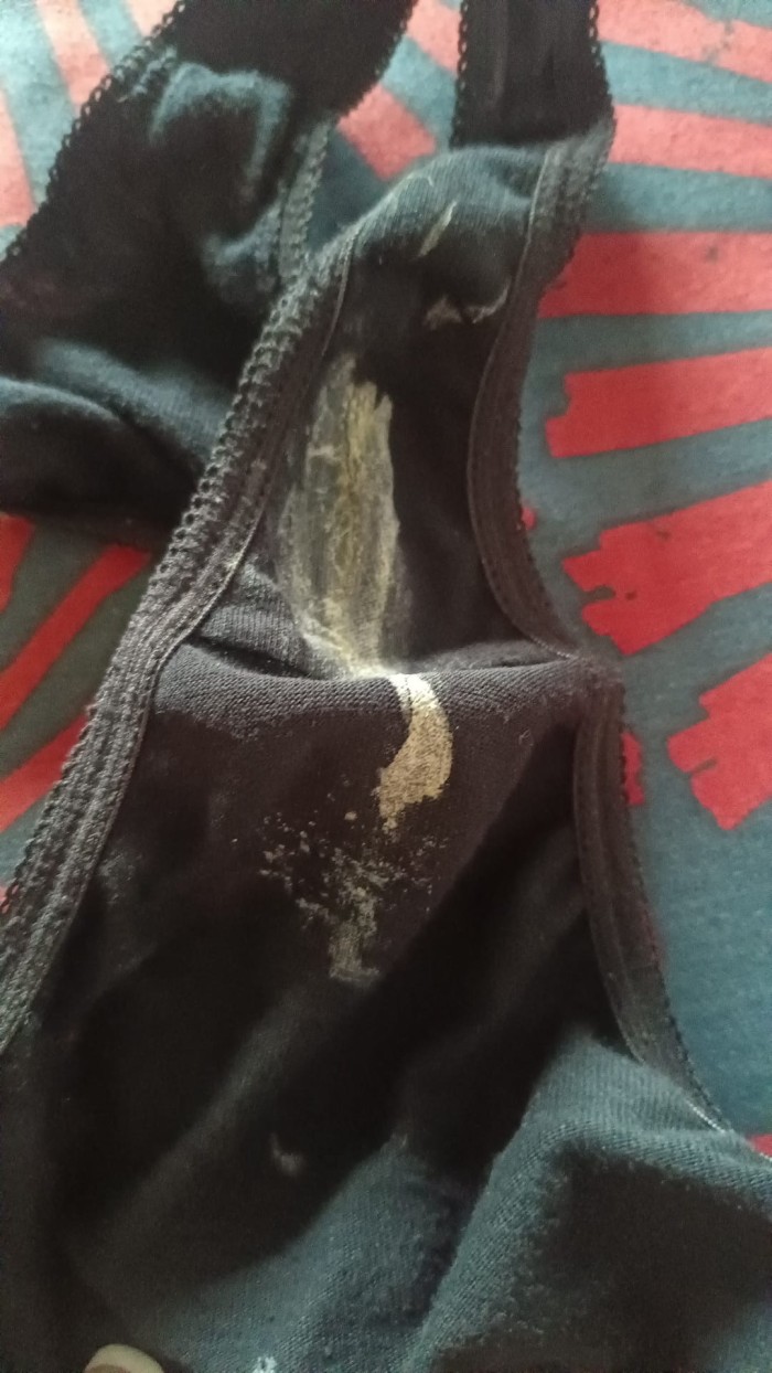 Ama para sumisos educados y solventes