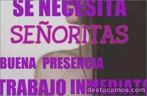 SE BUSCA ESCORTS ABITACION PROPIO DE LUNES A VIERN