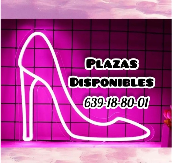 NECESITAMOS CHICAS PARA PLAZA Y TURNO NOCHE