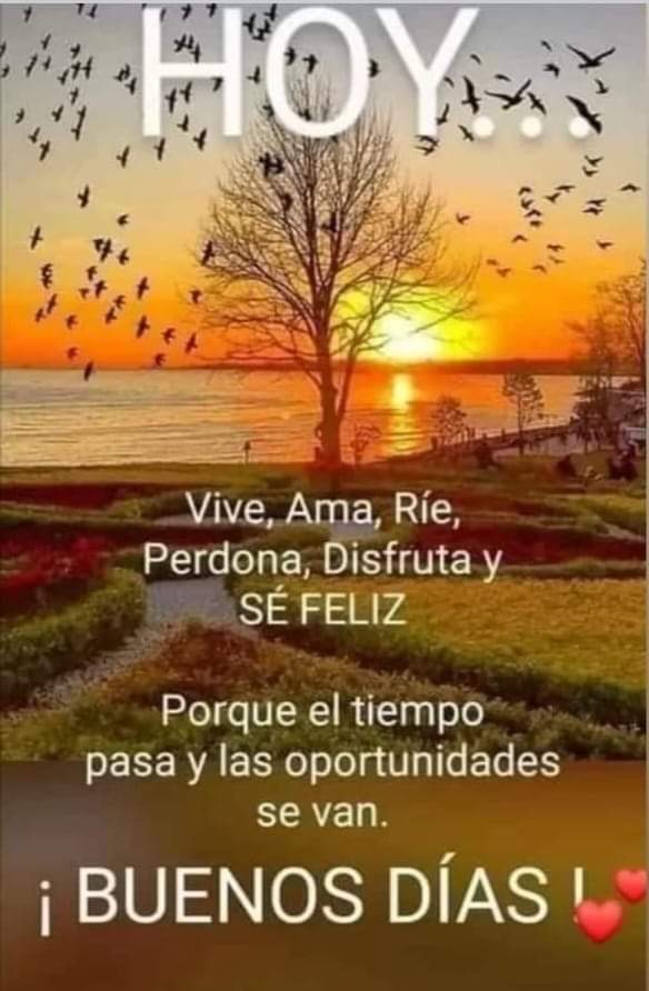 Buscamos amigas nuevas