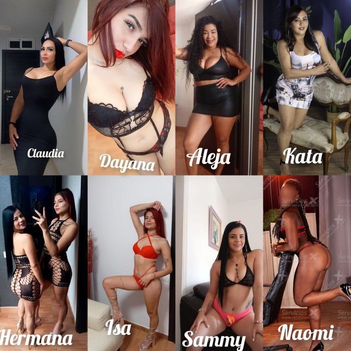 RELAX Y PLACER LA MANSION AZUL ,SCHAMANN