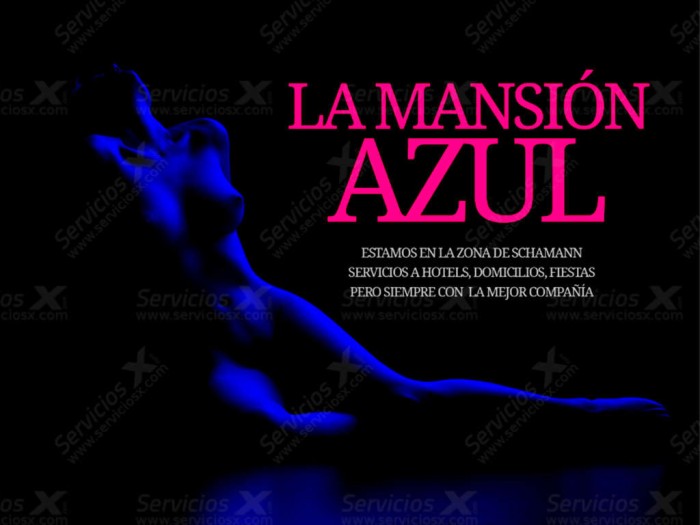 RELAX Y PLACER LA MANSION AZUL ,SCHAMANN