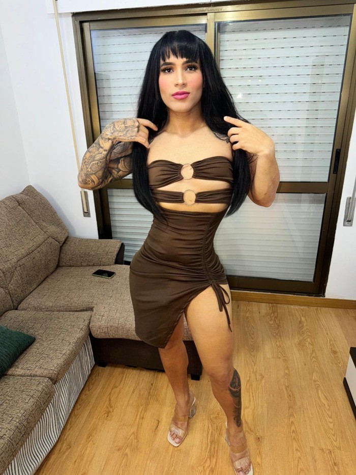 Novedad