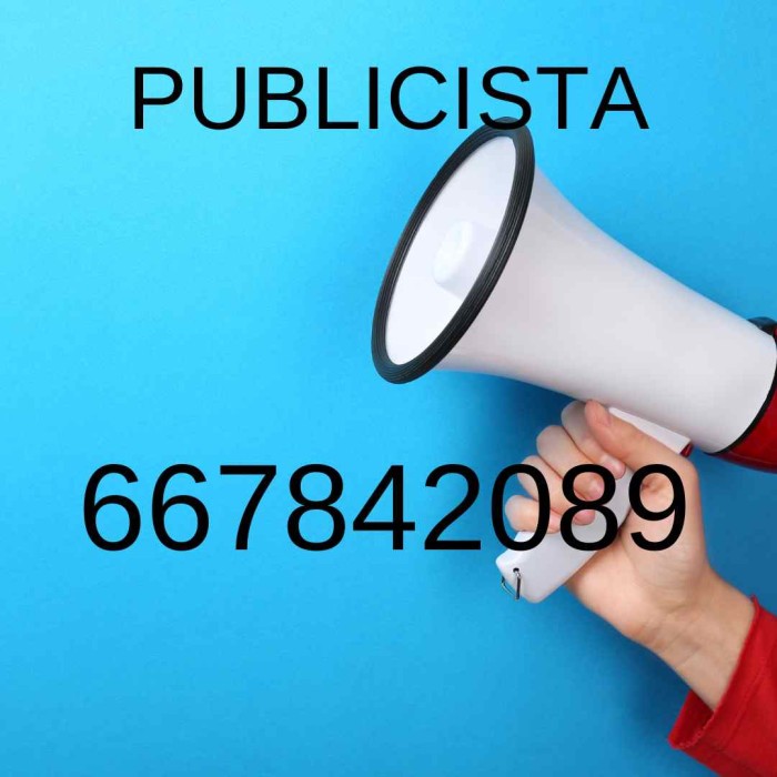 PUBLICISTA, HACEMOS TUS ANUNCIOS