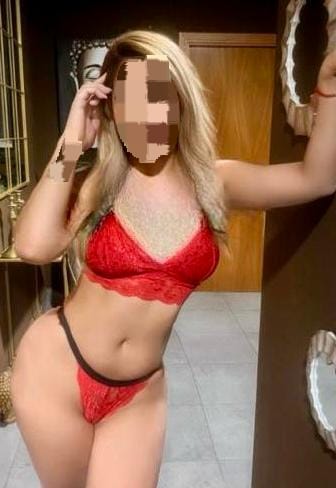 4 perras en calor