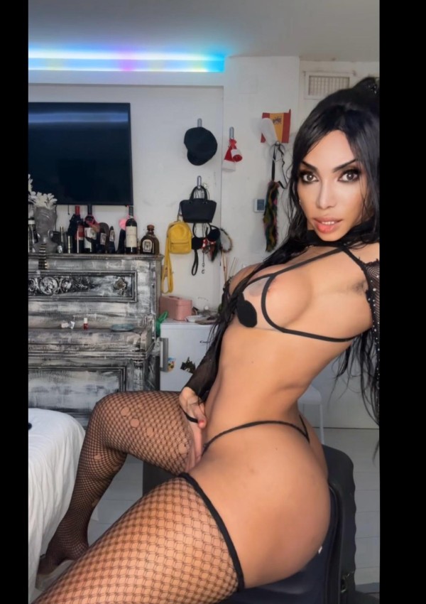 Paula TRANS