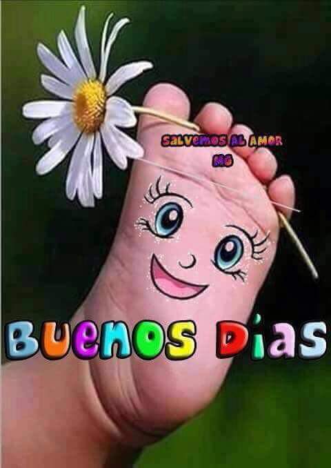 Muy buenas condiciones escribe para más info