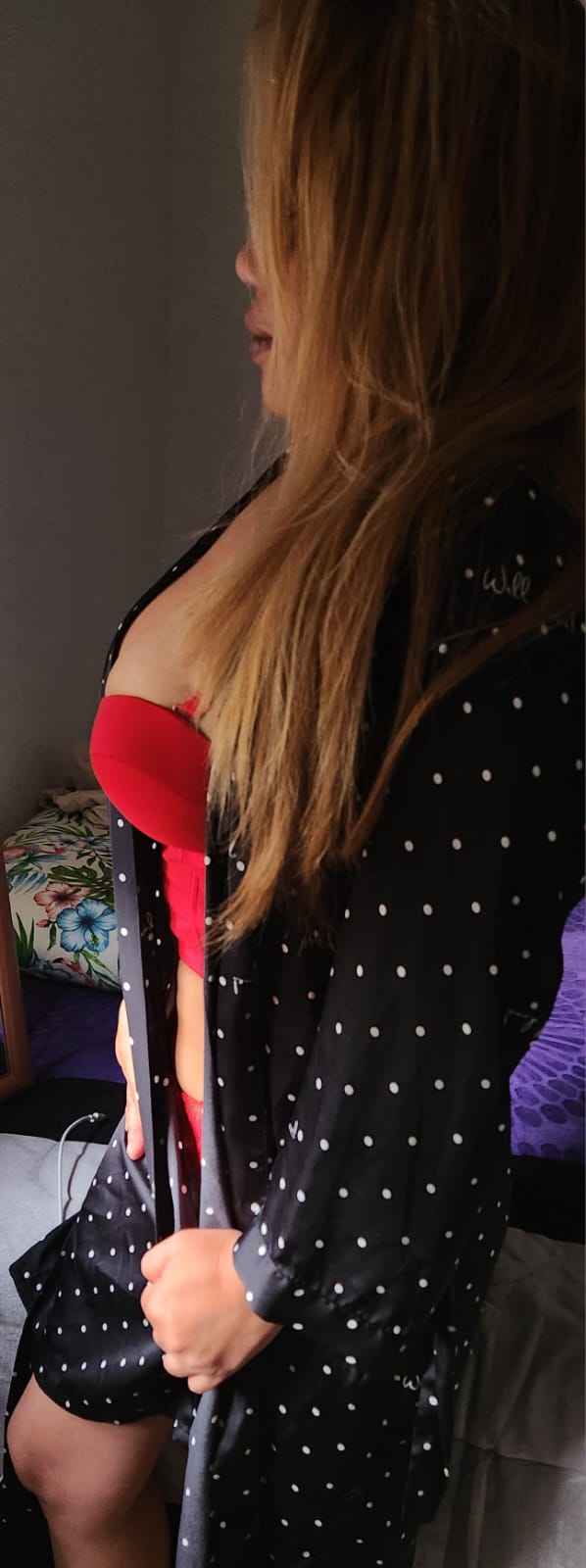 Novedad fiestera