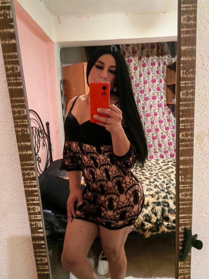 NOVEDA CHICA LATINA VERSÁTIL