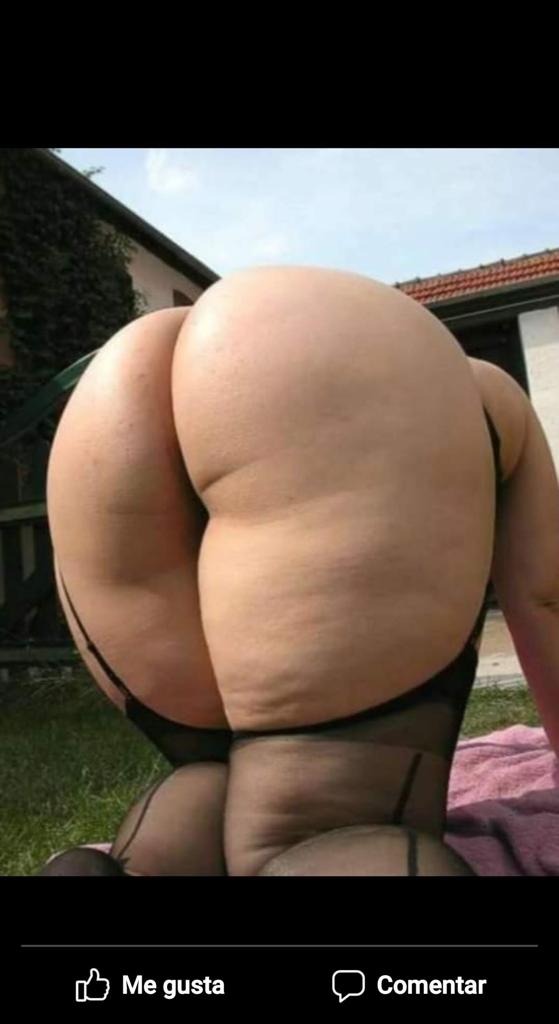 NOVEDAD RELLENITA SALOMÉ