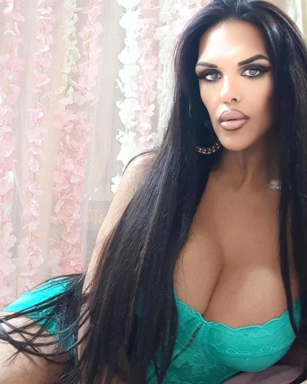 NOVEDAD Paloma tu opcion mas explosiva