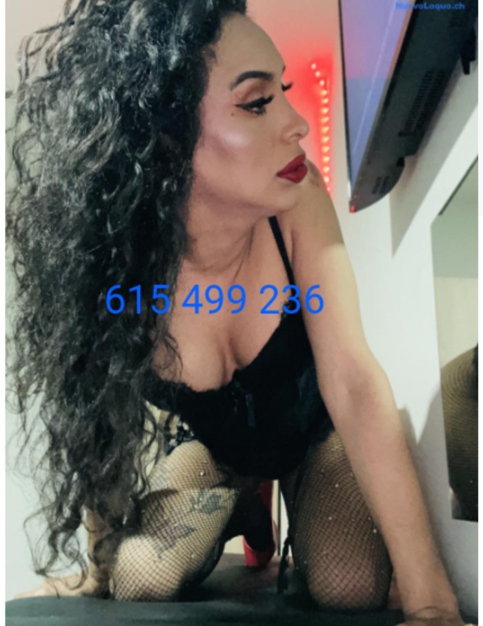 Argentina experta en principiantes