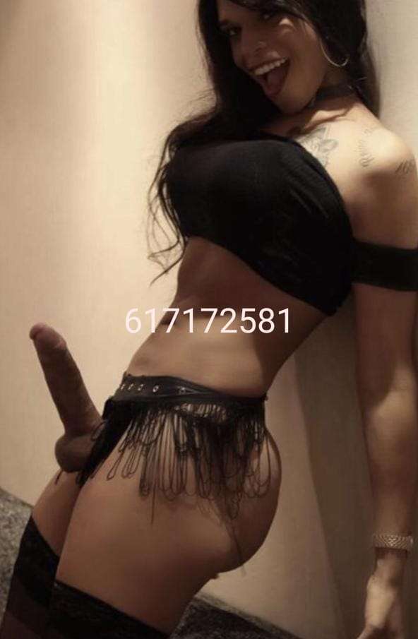 **DOMINANT TRANS ACT DOTADA CAÑERA MORBOSA**