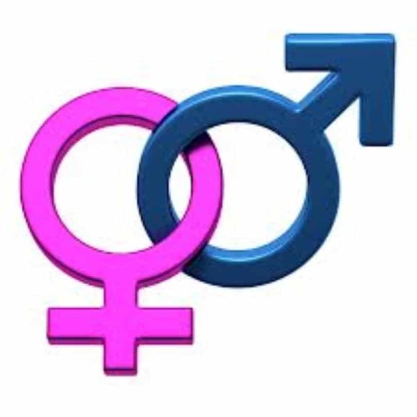 Se necesitan señoritas en Collado Villalba