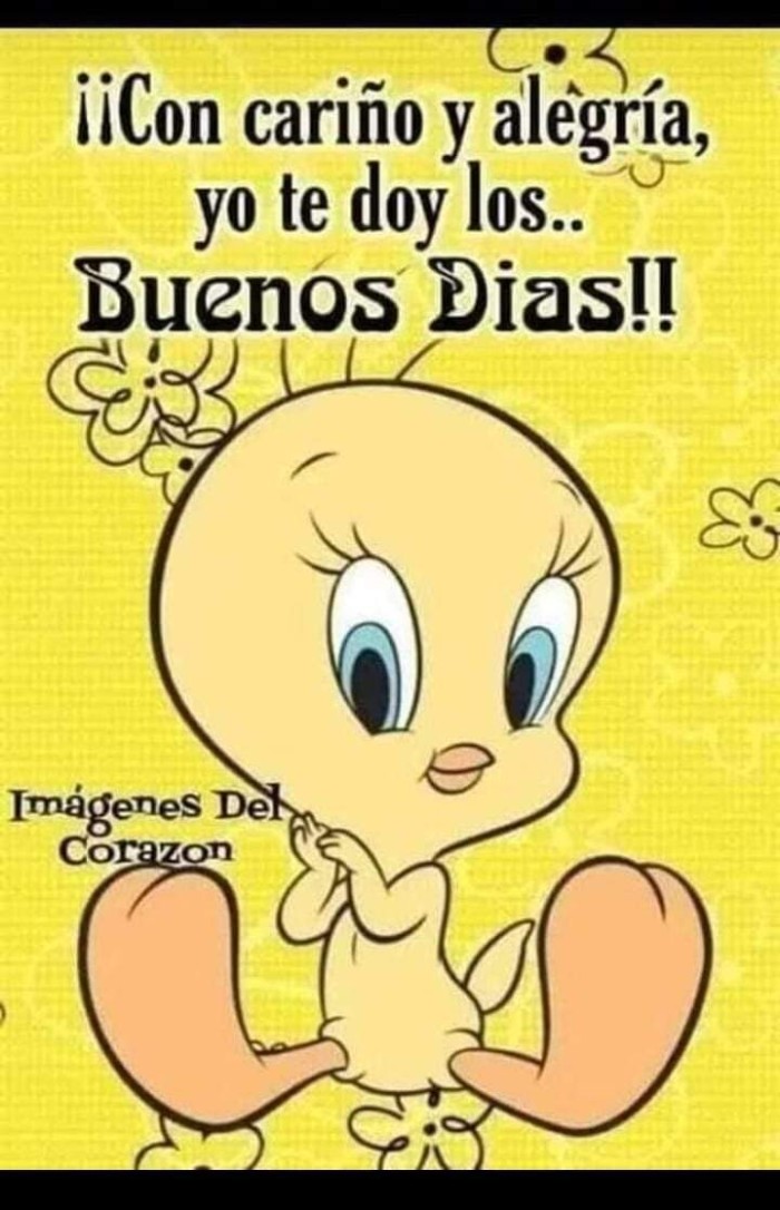 Plaza disponible en la playa de Valencia