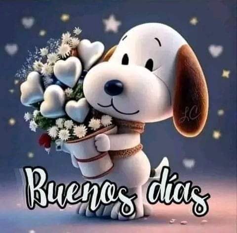 Hacemos turnos o 24 horas