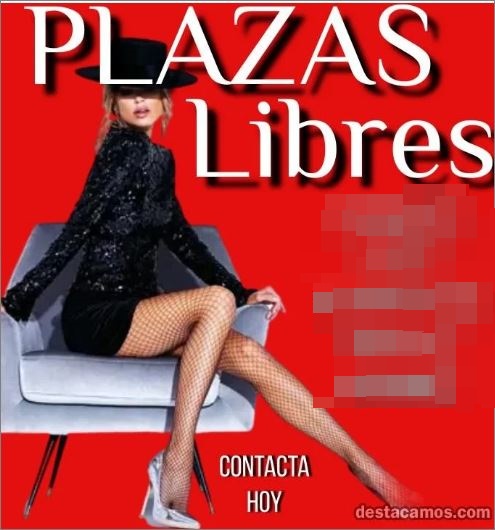 SE BUSCA ESCORTS CON SU HABITACION PROPIO CON CLIENTE FIJOS