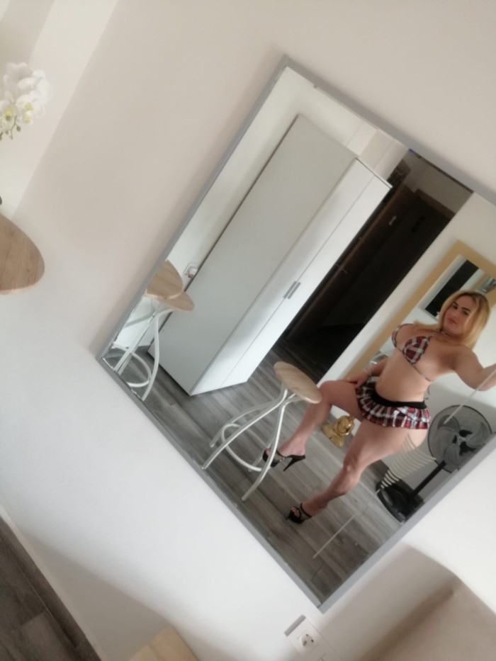 NOVEDAD CHICA TRANS LATINA GUENORRA VIP