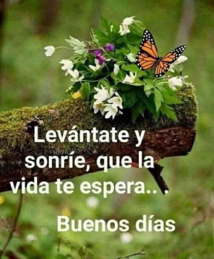 Buscamos escort 24 horas