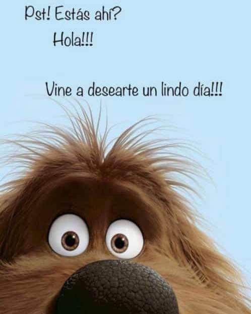 Plazas limitadas nuevas