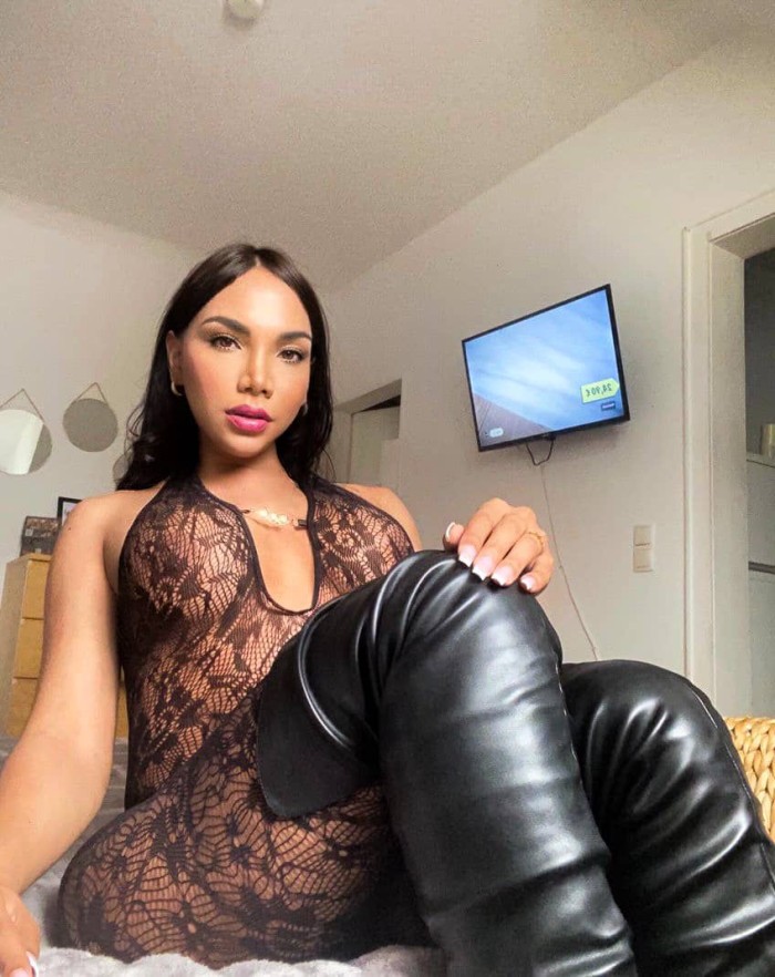 NOVEDAD TRANS ACTIVA PASIVA, LECHERA