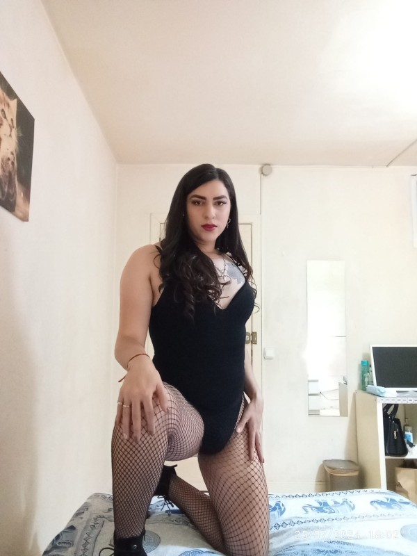 Lechera 100% todo terreno complaciente dominante