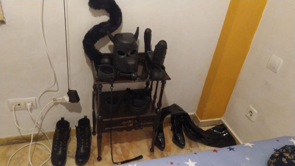 RECIÉN LLEGADA EN LA CIUDADE Gatita Botax látex juguetes descumunal ven?