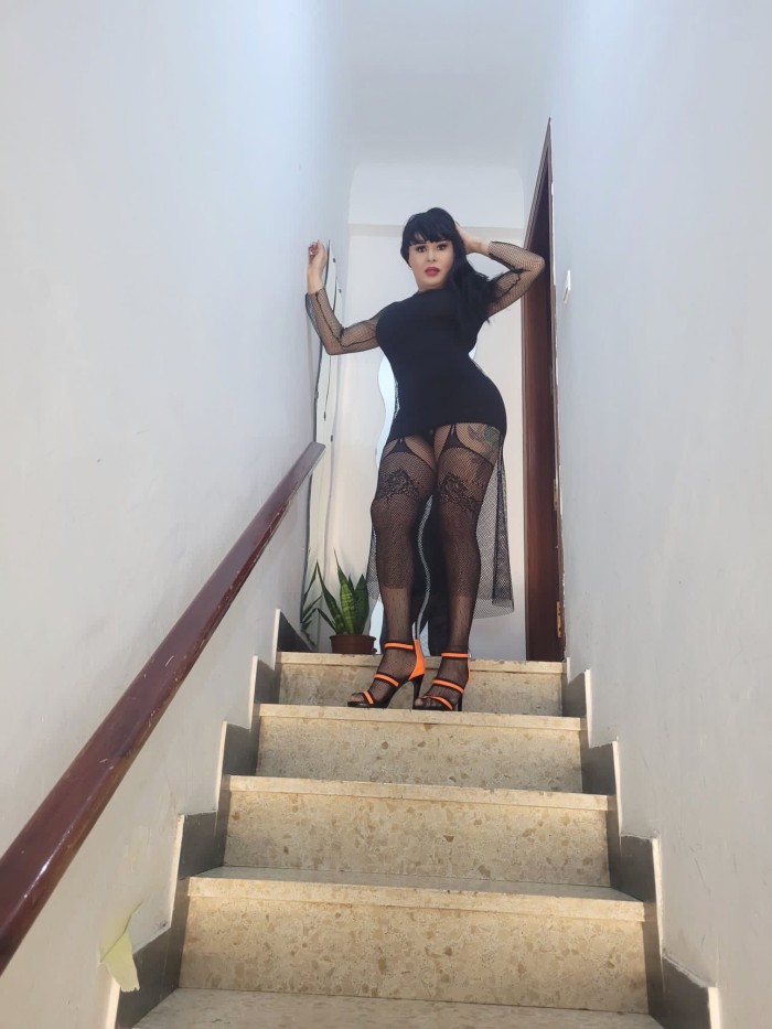 Chica trans colombiana caliente Guarracachonda Elche