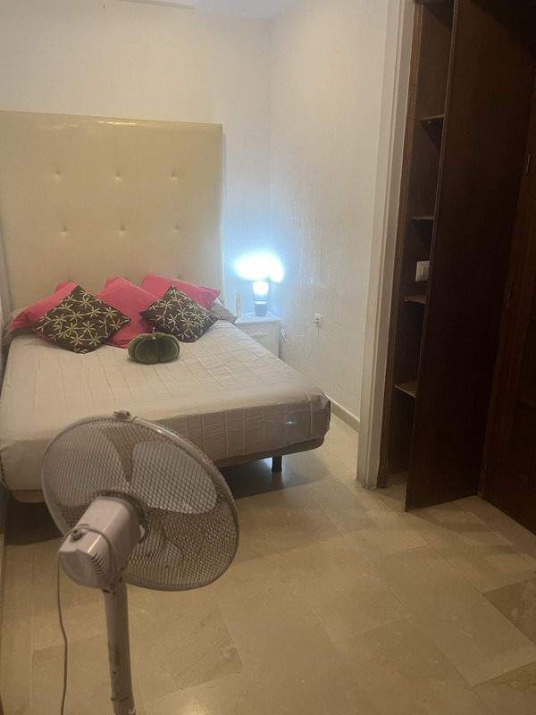 APARTAMENTO CENTRO CORDOBA – UNA CHICA SIN COMPARTIR
