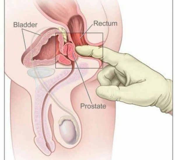 Novedad Culona Fiestera particular Garganta profunda ensalivada