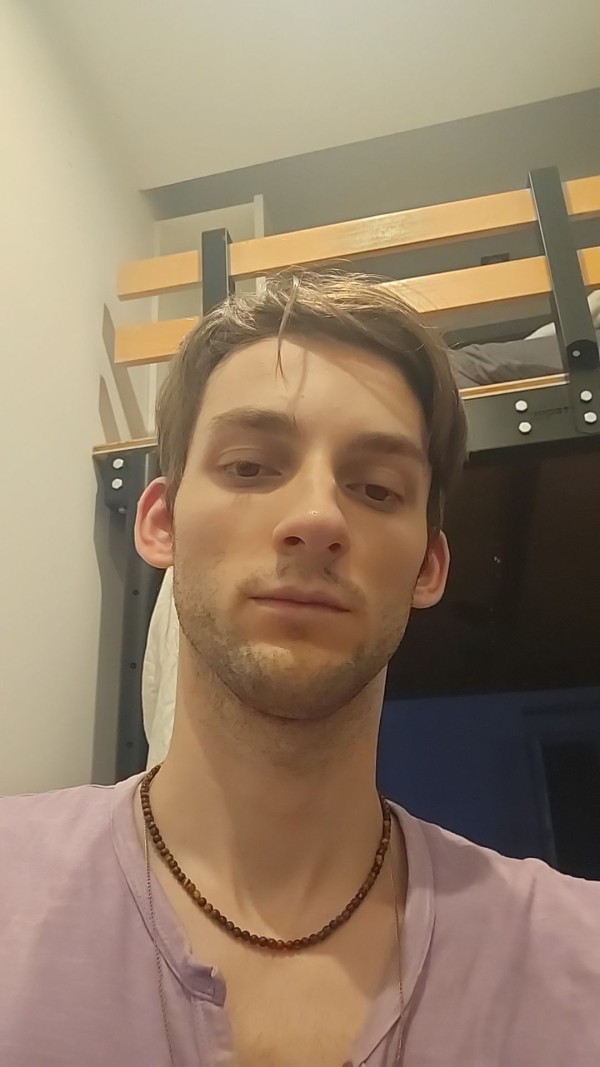 Koili dispo servicios