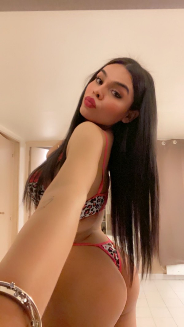 TRANS SILVANA SOLO PASIVA RECIEN LLEGADA