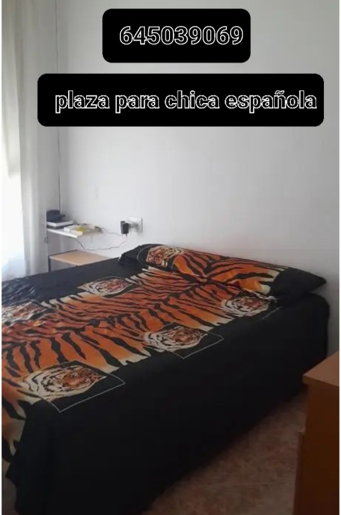 HABITACION LIBRE PARA CHICAS