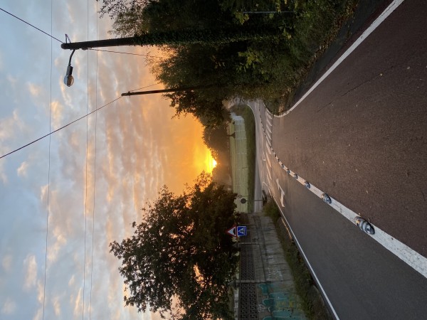 Soy un chico muy discreto y maduro , pruébame .