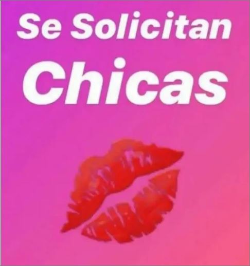 SEBUSCA ESCORTS PARA TRABAJAR CON CLIENTE