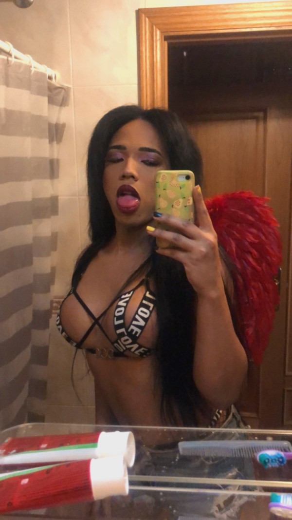 Kim la caballota XXL Sabadell