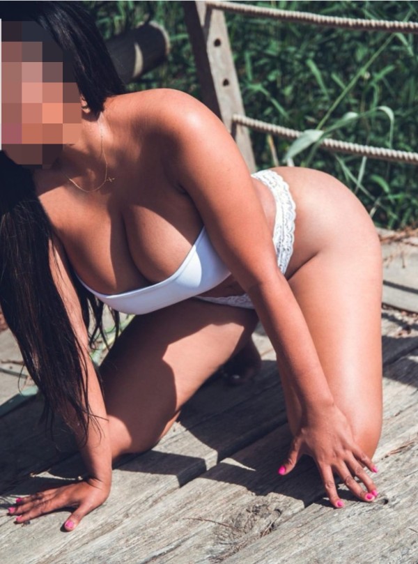 NICOL novedad latina exótica !