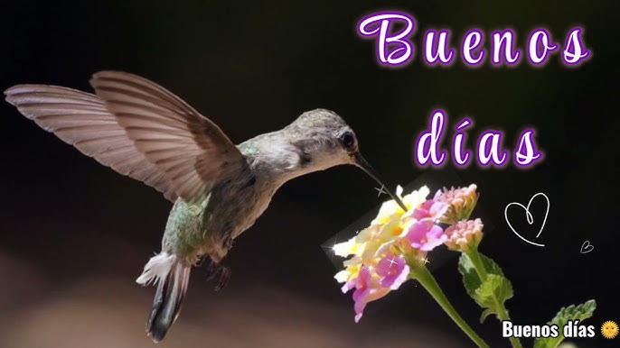 Se necesitan chicas guapas y simpáticas