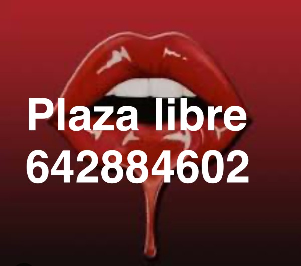 Plaza libre Tortosa Tarragona