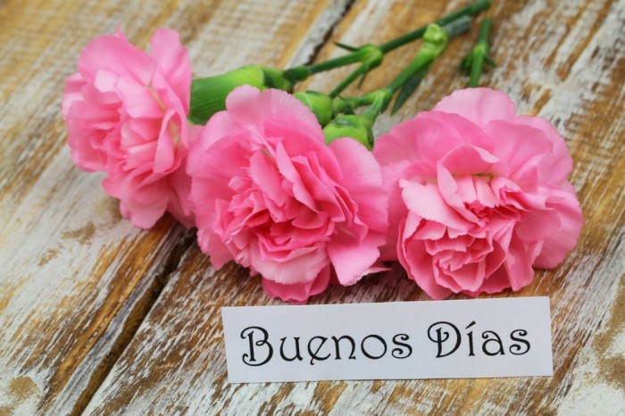 Se busca chicas españolas