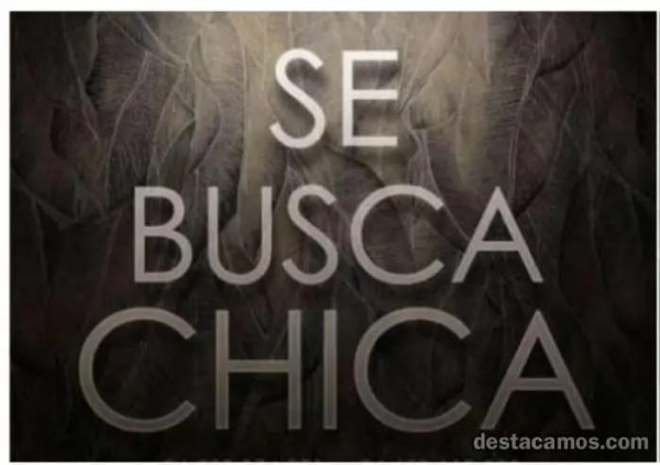 Se busca chica para cubrir plazas en Yuncos