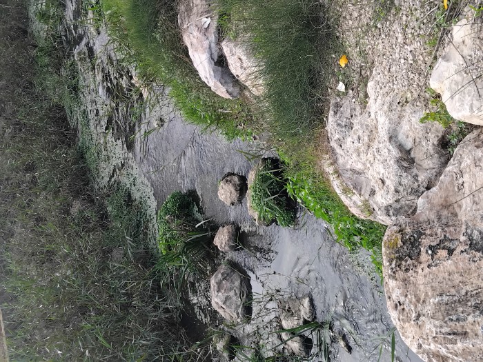 Andrea Masajes relajantes y eroticos