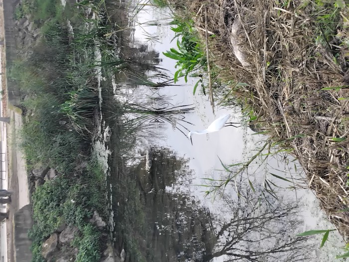 Alquilo habitación por hora