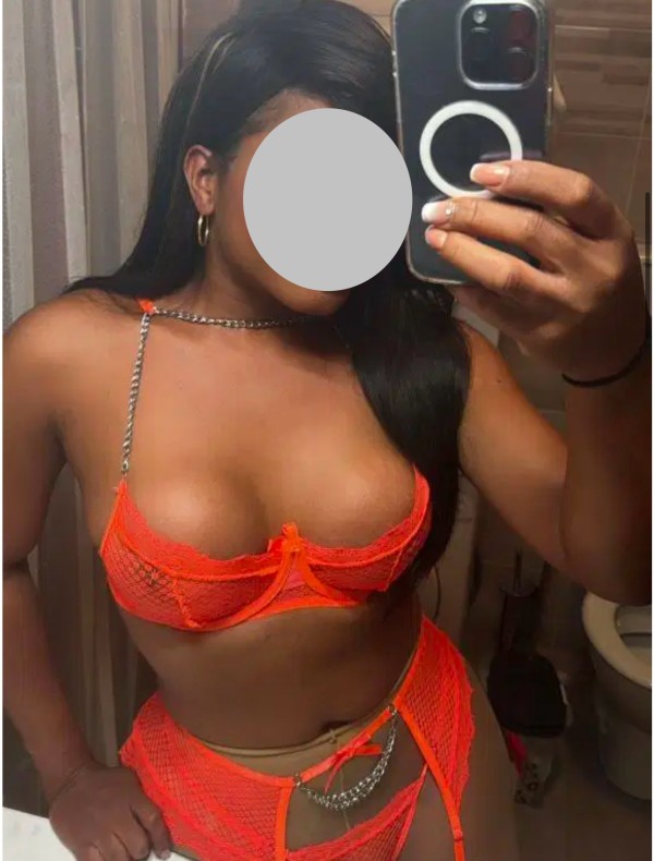 Novedad