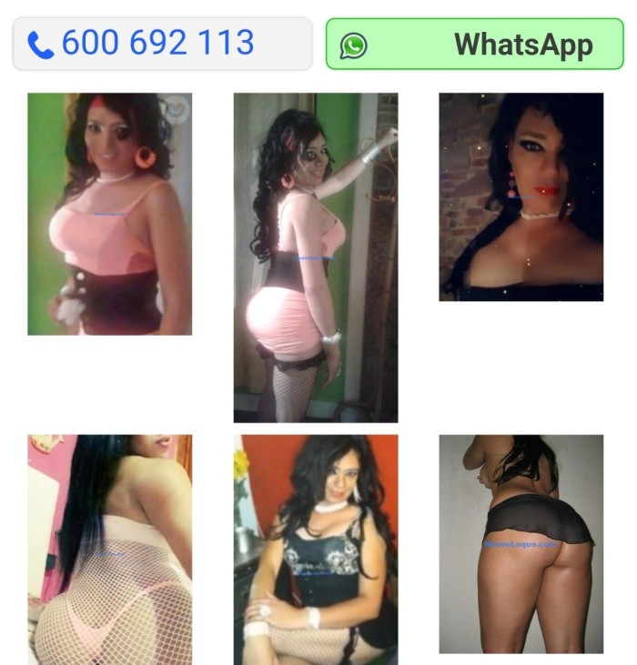 Activa Trans 50 eur media hora chupo Culo y polla de maravilla